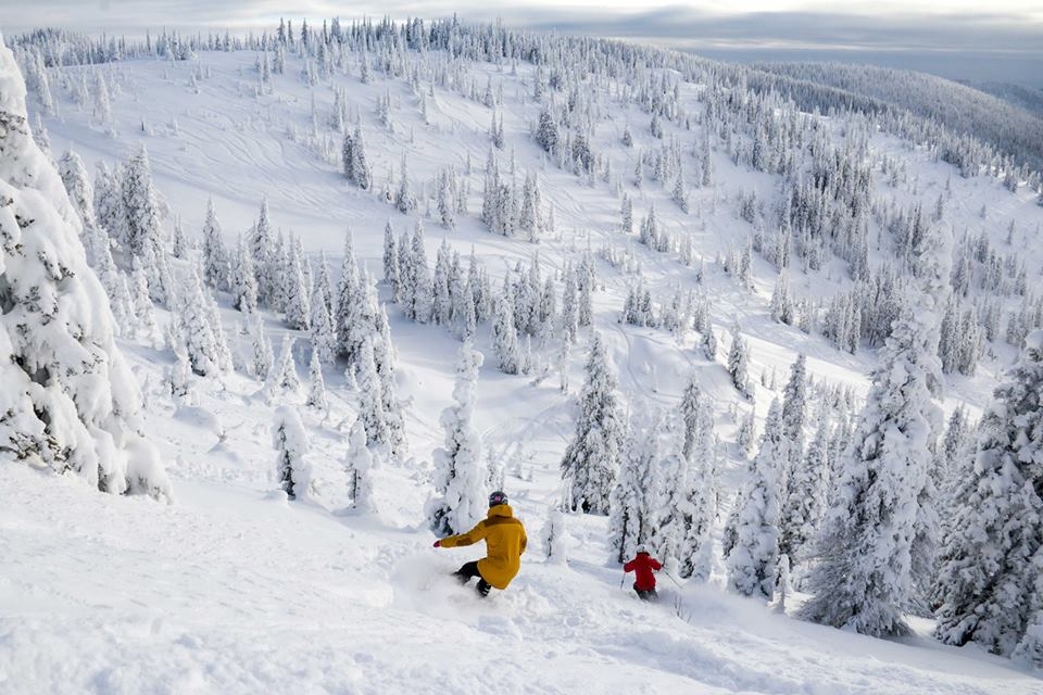 Downhill Skiing