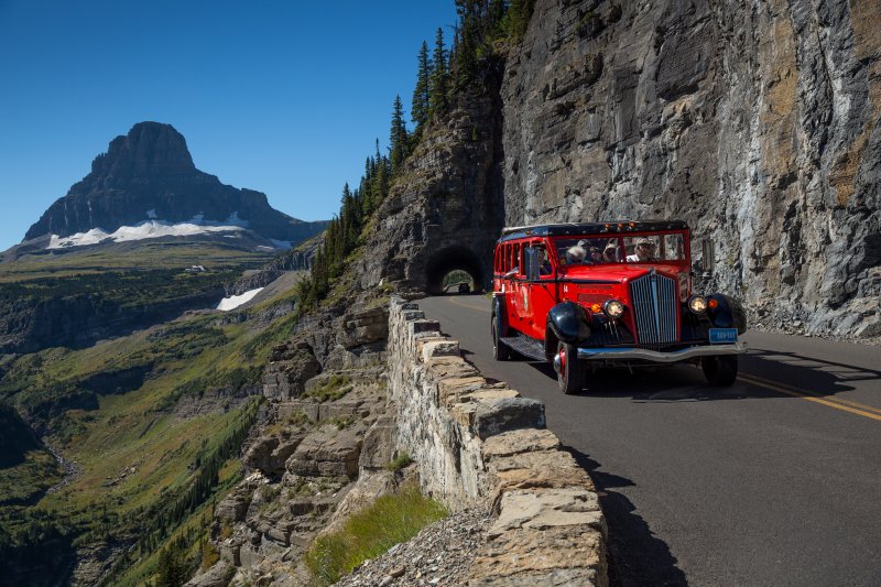 Red Bus Tours